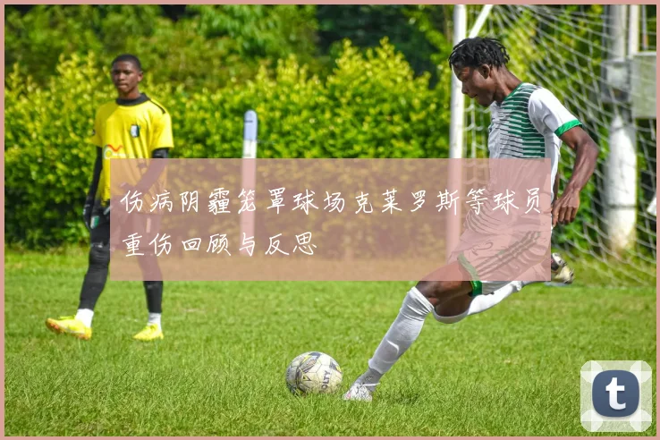 伤病阴霾笼罩球场克莱罗斯等球员重伤回顾与反思