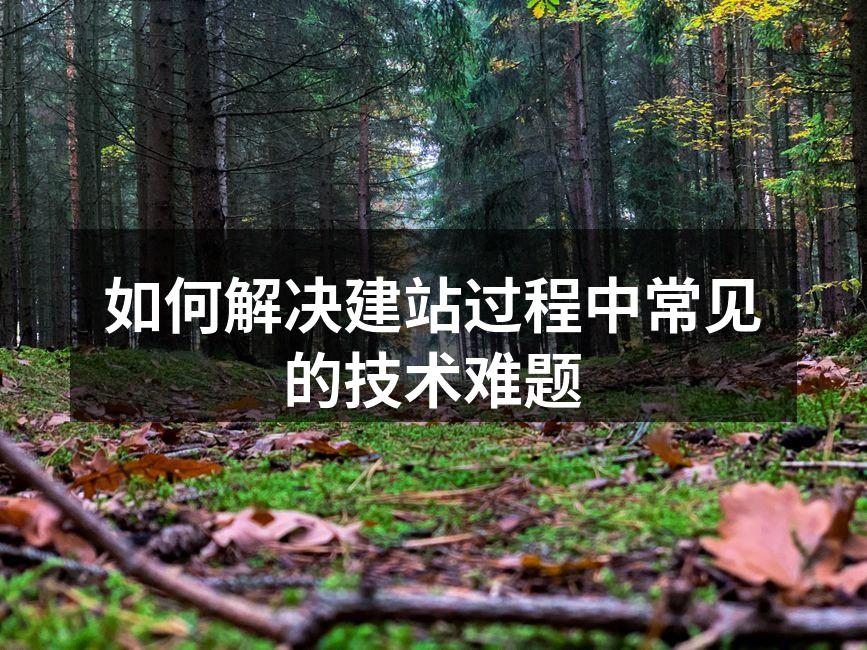 如何解决建站过程中常见的技术难题