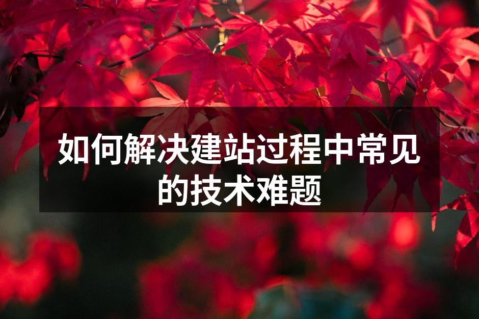 如何解决建站过程中常见的技术难题
